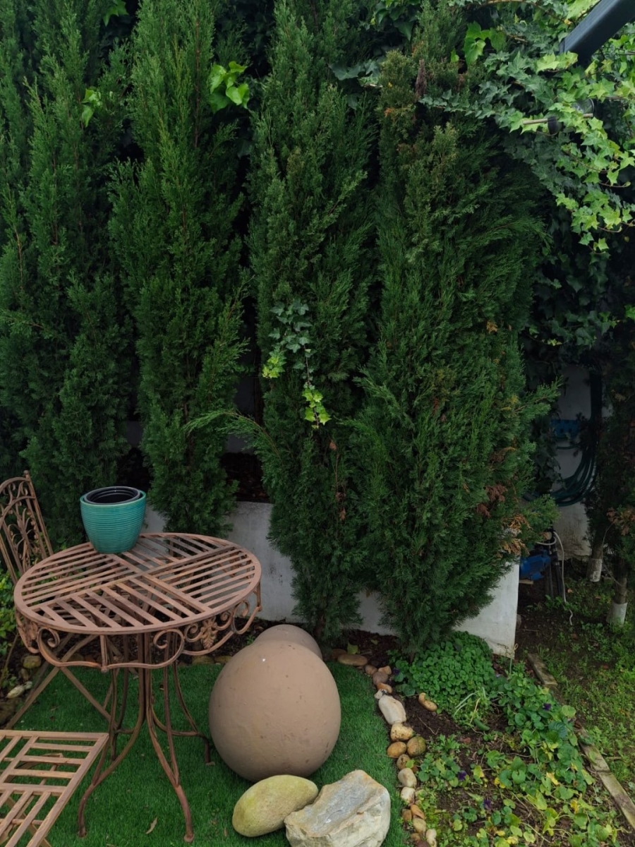 2 Bedroom Property for Sale in King George Park Western Cape